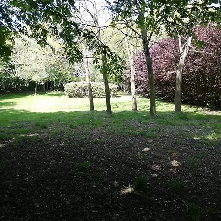 Villa Nuvola Summer Spring Zottegem